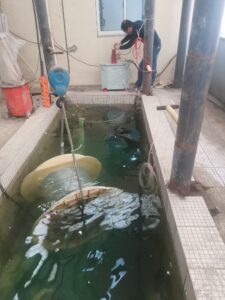 Cable AC Hipot Testing Site